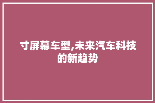 寸屏幕车型,未来汽车科技的新趋势