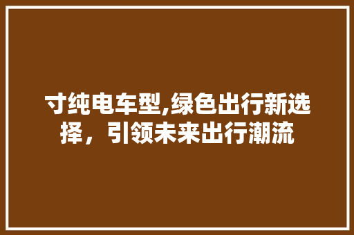寸纯电车型,绿色出行新选择，引领未来出行潮流