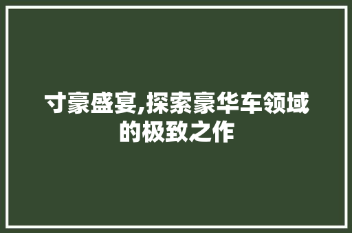 寸豪盛宴,探索豪华车领域的极致之作
