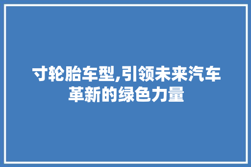 寸轮胎车型,引领未来汽车革新的绿色力量