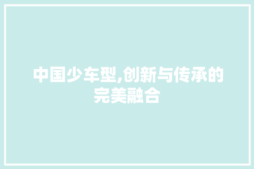 中国少车型,创新与传承的完美融合 汽车配件