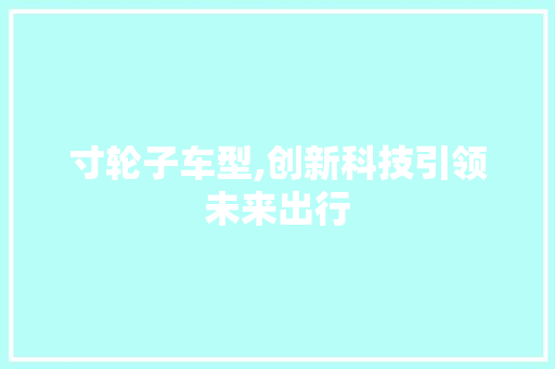 寸轮子车型,创新科技引领未来出行