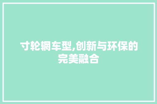 寸轮辋车型,创新与环保的完美融合
