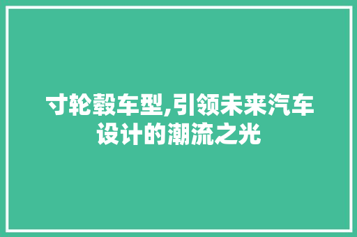 寸轮毂车型,引领未来汽车设计的潮流之光