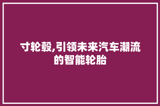 寸轮毂,引领未来汽车潮流的智能轮胎