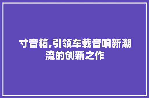 寸音箱,引领车载音响新潮流的创新之作