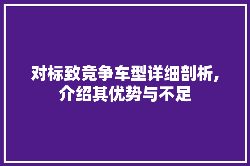 对标致竞争车型详细剖析,介绍其优势与不足