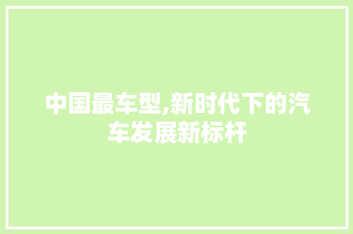 中国最车型,新时代下的汽车发展新标杆 变速箱配件