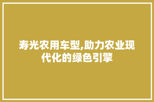 寿光农用车型,助力农业现代化的绿色引擎 蓄电池配件