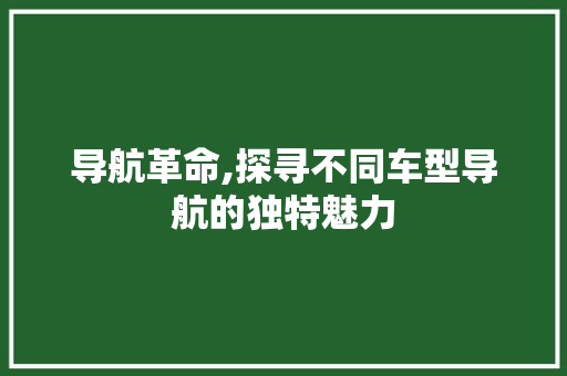 导航革命,探寻不同车型导航的独特魅力