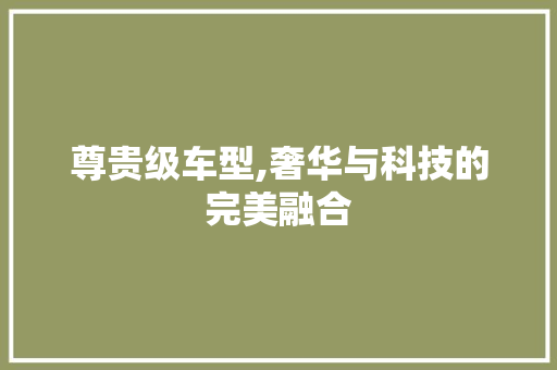 尊贵级车型,奢华与科技的完美融合