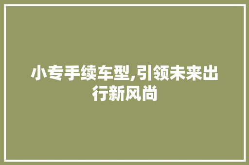 小专手续车型,引领未来出行新风尚
