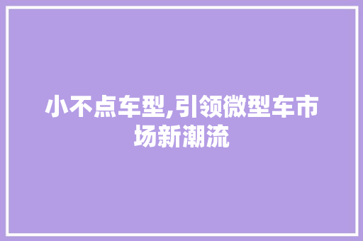 小不点车型,引领微型车市场新潮流