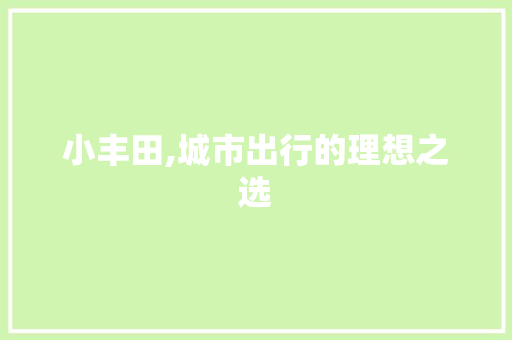 小丰田,城市出行的理想之选