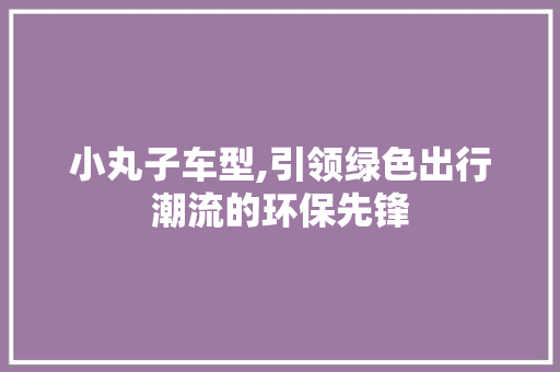 小丸子车型,引领绿色出行潮流的环保先锋