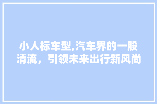 小人标车型,汽车界的一股清流，引领未来出行新风尚