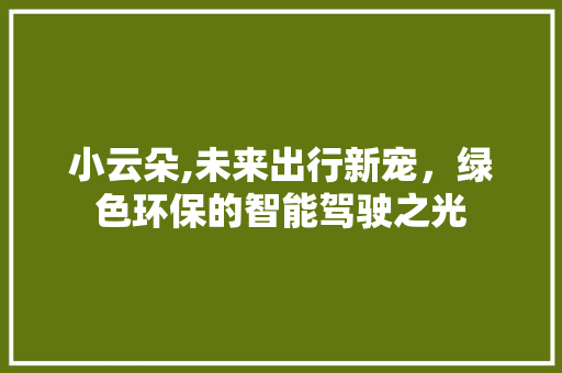 小云朵,未来出行新宠，绿色环保的智能驾驶之光
