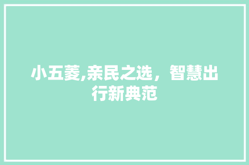小五菱,亲民之选，智慧出行新典范