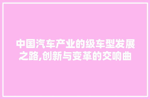 中国汽车产业的级车型发展之路,创新与变革的交响曲