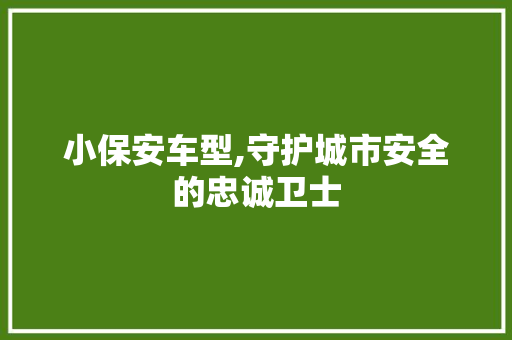 小保安车型,守护城市安全的忠诚卫士