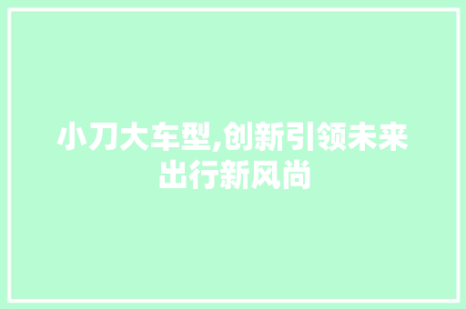 小刀大车型,创新引领未来出行新风尚