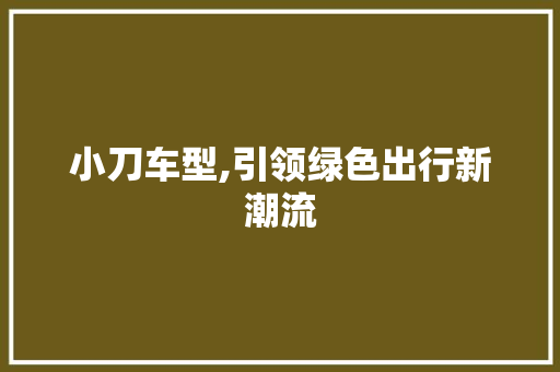 小刀车型,引领绿色出行新潮流