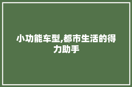 小功能车型,都市生活的得力助手