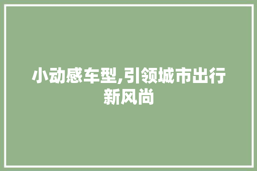 小动感车型,引领城市出行新风尚