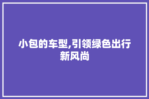 小包的车型,引领绿色出行新风尚