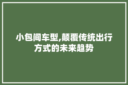 小包间车型,颠覆传统出行方式的未来趋势