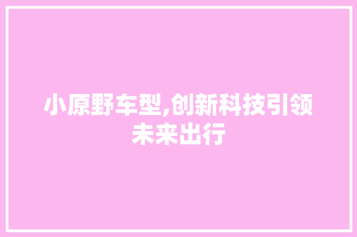小原野车型,创新科技引领未来出行