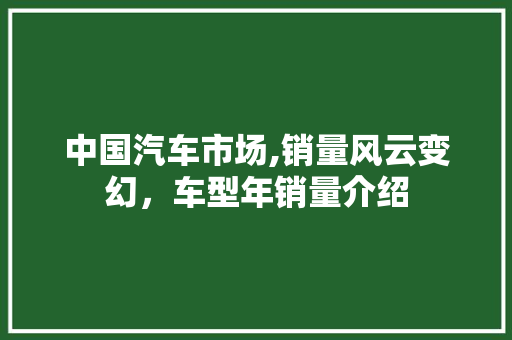 中国汽车市场,销量风云变幻，车型年销量介绍