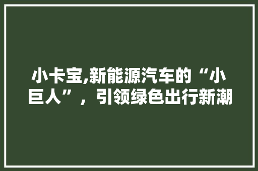 小卡宝,新能源汽车的“小巨人”，引领绿色出行新潮流