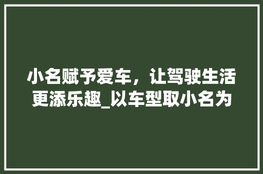 小名赋予爱车，让驾驶生活更添乐趣_以车型取小名为例