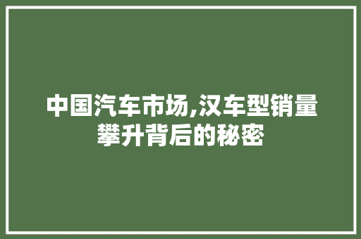 中国汽车市场,汉车型销量攀升背后的秘密 底盘配件
