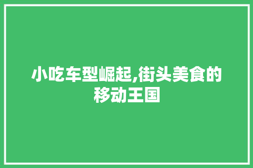 小吃车型崛起,街头美食的移动王国