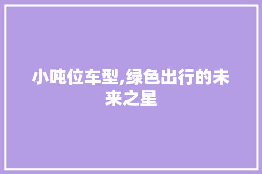 小吨位车型,绿色出行的未来之星