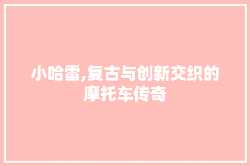 小哈雷,复古与创新交织的摩托车传奇