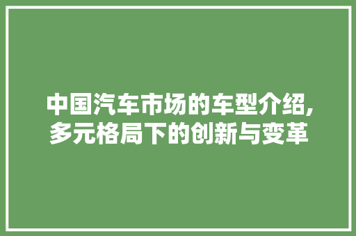 中国汽车市场的车型介绍,多元格局下的创新与变革 蓄电池配件
