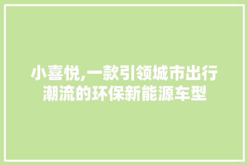 小喜悦,一款引领城市出行潮流的环保新能源车型