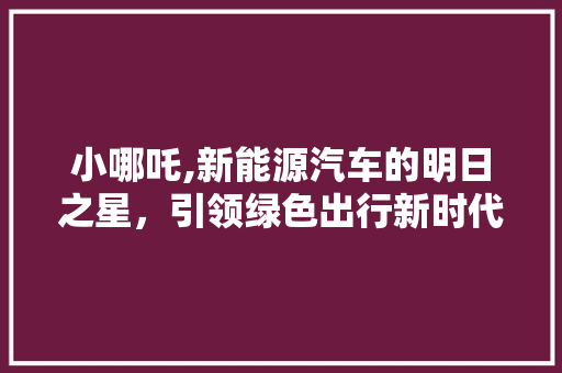 小哪吒,新能源汽车的明日之星，引领绿色出行新时代