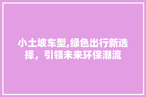 小土坡车型,绿色出行新选择，引领未来环保潮流