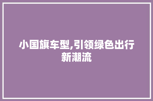 小国旗车型,引领绿色出行新潮流