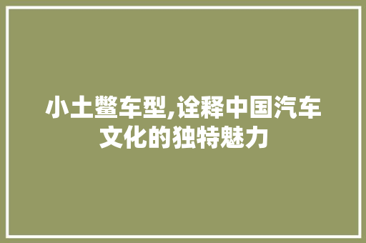 小土鳖车型,诠释中国汽车文化的独特魅力