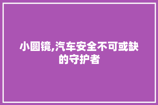 小圆镜,汽车安全不可或缺的守护者