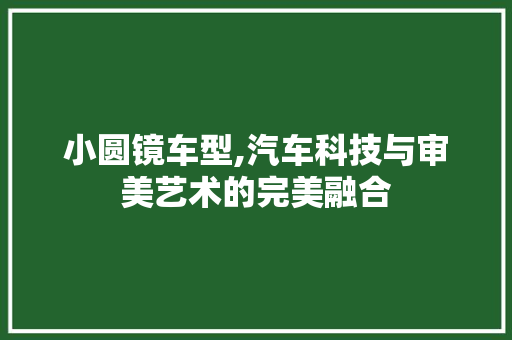 小圆镜车型,汽车科技与审美艺术的完美融合