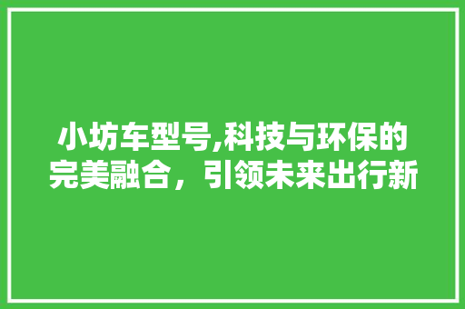 小坊车型号,科技与环保的完美融合，引领未来出行新潮流