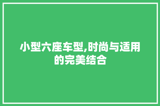 小型六座车型,时尚与适用的完美结合