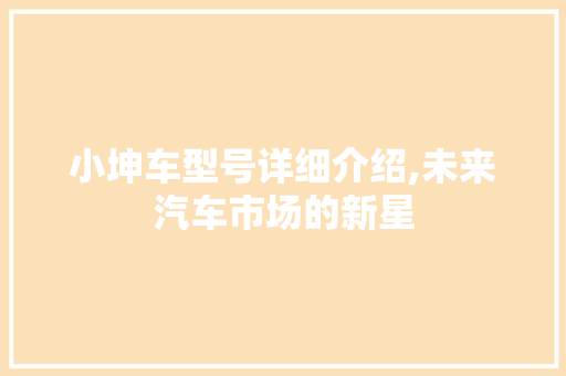 小坤车型号详细介绍,未来汽车市场的新星