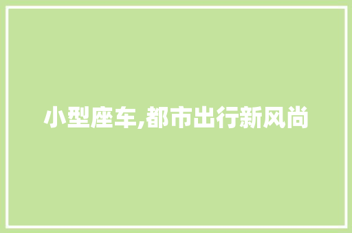 小型座车,都市出行新风尚